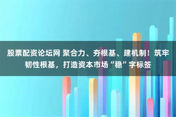 股票配资论坛网 聚合力、夯根基、建机制！筑牢韧性根基，打造资本市场“稳”字标签