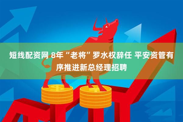 短线配资网 8年“老将”罗水权辞任 平安资管有序推进新总经理招聘