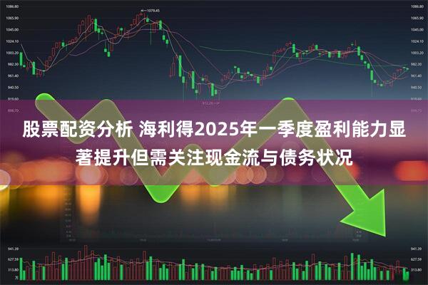 股票配资分析 海利得2025年一季度盈利能力显著提升但需关注现金流与债务状况