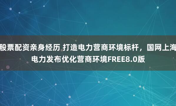 股票配资亲身经历 打造电力营商环境标杆，国网上海电力发布优化营商环境FREE8.0版