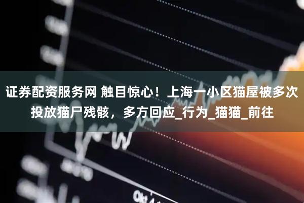证券配资服务网 触目惊心！上海一小区猫屋被多次投放猫尸残骸，多方回应_行为_猫猫_前往